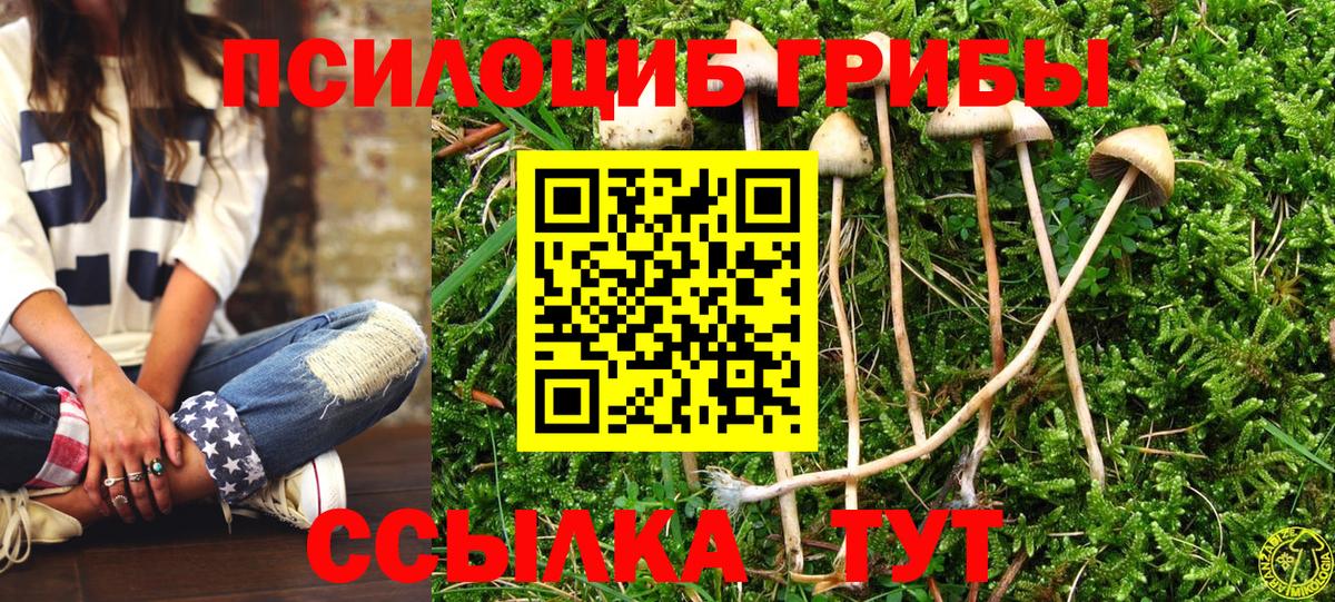Псилоцибиновые грибы ЛСД  Вход с VPN  Шарыпово 