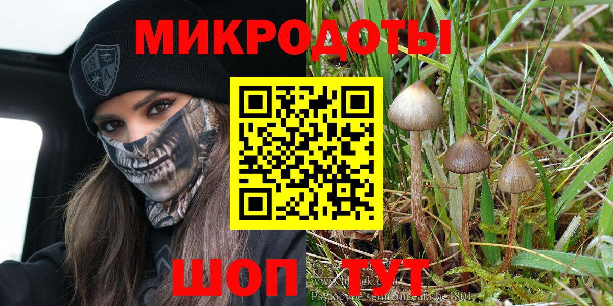 Псилоцибиновые грибы MAGIC MUSHROOMS Шарыпово
